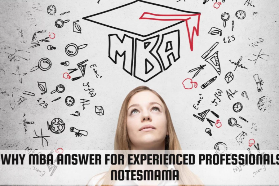 Why mba answer for experienced professionals-notesmama